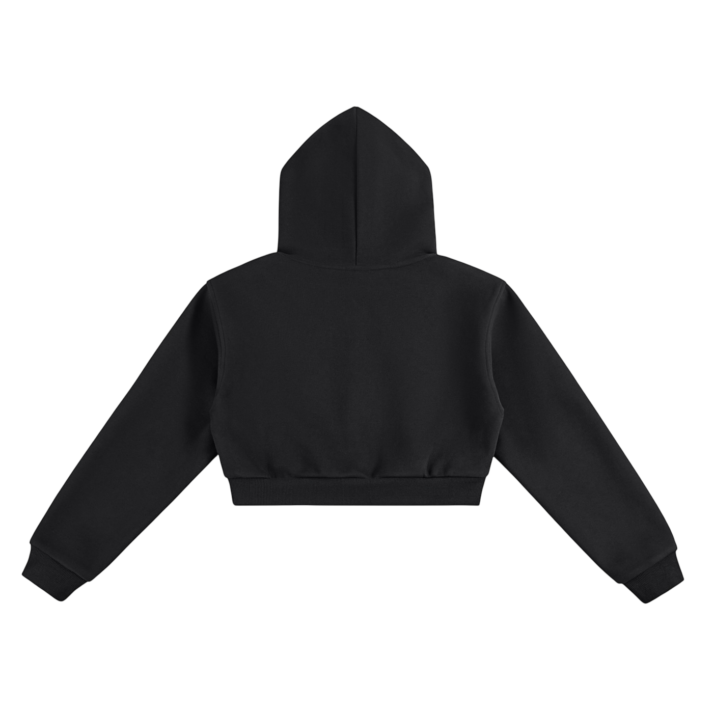 WMNS ICING LOGO CROP HOODIE [BLACK]